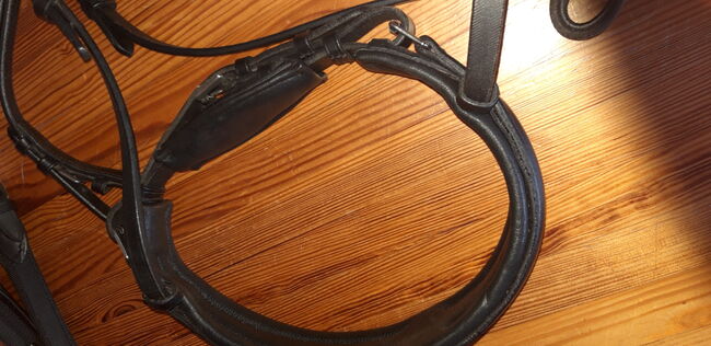 Ledertrense von Heinicke, Heinicke Heinicke Bausystem, Claudia, Bridles & Headstalls, Köln, Image 8