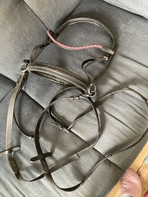 Sidepull aus Leder Gr Pony inklusive Zügel, Krämer , Melanie Biller, Bitless Bridles, Gladbeck 