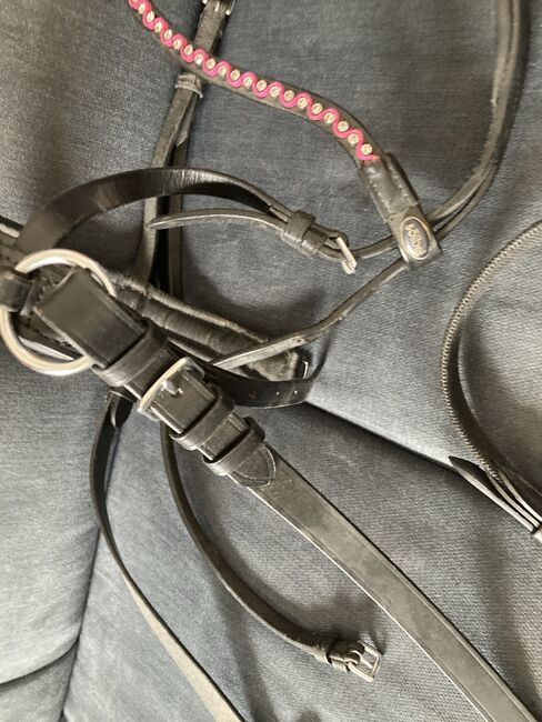 Sidepull aus Leder Gr Pony inklusive Zügel, Krämer , Melanie Biller, Bitless Bridles, Gladbeck , Image 2