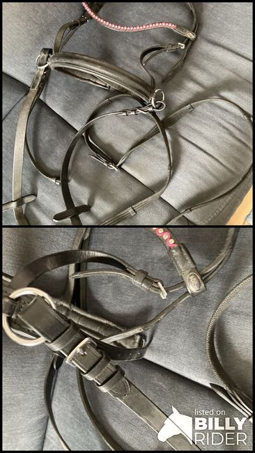 Sidepull aus Leder Gr Pony inklusive Zügel, Krämer , Melanie Biller, Bitless Bridles, Gladbeck , Image 3