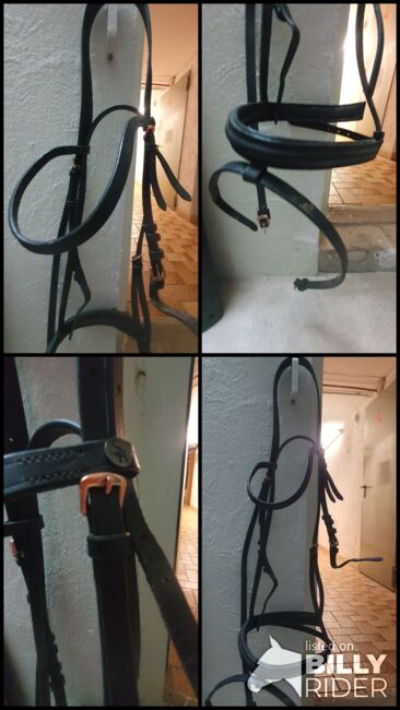 Ledertrense, Desiree Wieczorek , Bridles & Headstalls, Bad Salzuflen , Image 5