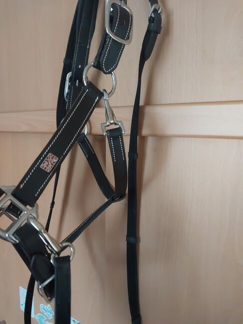 Lederhalfter elegant mit gurtzügel reithalfter, Powerhorse, Gebisslose Zäumungen, Ziemetshausen, Abbildung 2