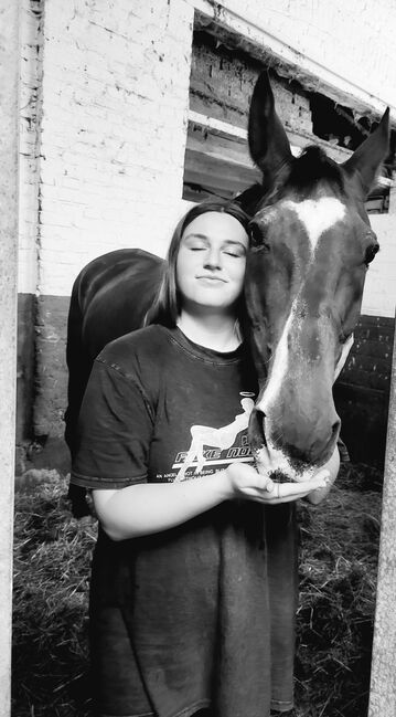 Freizeitpferd, Nicole, Horses For Sale, Düsseldorf