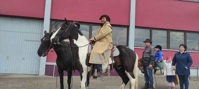 Freizeitpferd Pinto-Hunter Schwarzschecke Wallach, Gabriel Reinhold , Horses For Sale, Julbach, Image 9