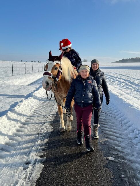 Reitstunden für Kinder, Steffi Tonhauser, Nauka jazdy konnej, Weichs, Image 2