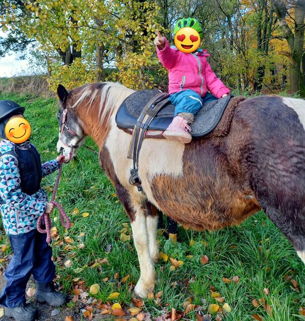 Reitunterricht Reittherapie Kindergeburtstag, Franzi, Nauka jazdy konnej, Ebsdorfergrund, Image 9