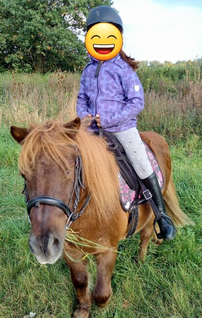 Reitunterricht Reittherapie Kindergeburtstag, Franzi, Nauka jazdy konnej, Ebsdorfergrund, Image 10