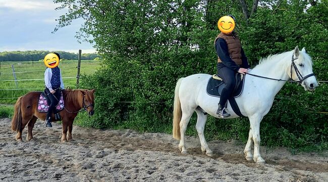 Reitunterricht Reittherapie Kindergeburtstag, Franzi, Nauka jazdy konnej, Ebsdorfergrund, Image 13