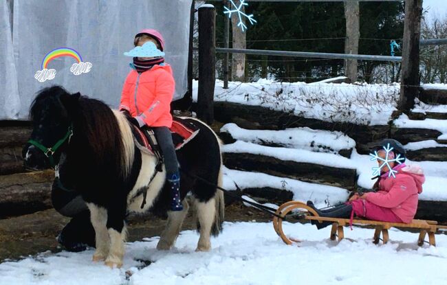 Reitunterricht Reittherapie Kindergeburtstag, Franzi, Nauka jazdy konnej, Ebsdorfergrund, Image 14