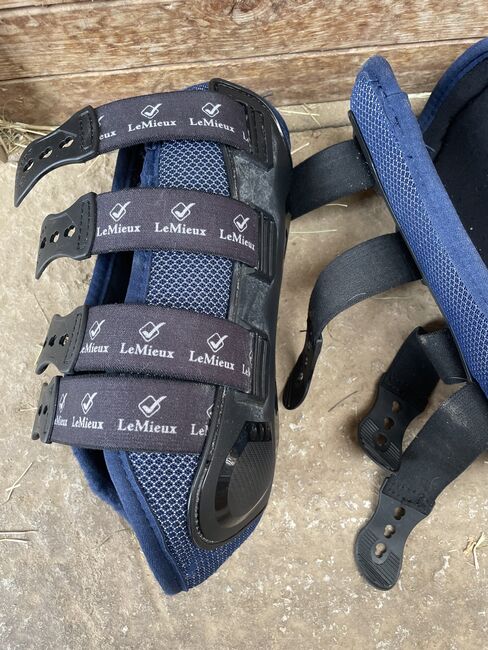 Lemieux Gamaschen M, Lemieux, Lena, Tendon Boots, Remshalden , Image 5