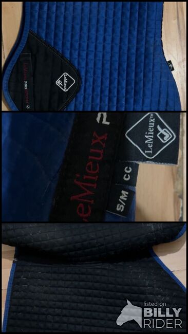 Lemieux Benneton blue cc saddle pad, Lemieux Cc discontinued , Emily ervig , Other Pads, Hewelsfield Common, Image 4