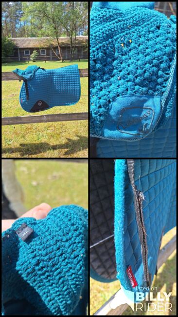 Lemieux dressur schabracke und fliegen ohren set, LEMIEUX , Larissa gehrke , Dressage Pads, Soltau, Image 8