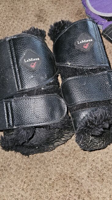 Lemieux Fleece lined brushing boots, Lemieux , Star27, Tendon Boots, Plymouth , Image 2