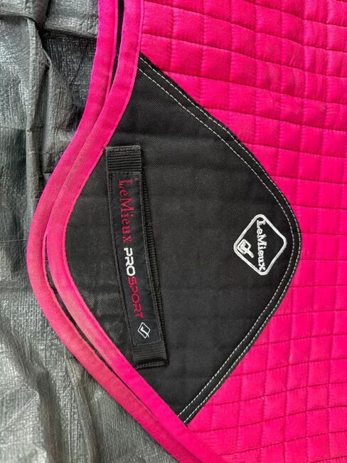 Lemieux fuchsia  saddle pad, Lemieux  Close contact , Emma quirky cobs 33, Andere Pads, Liverpool , Abbildung 3