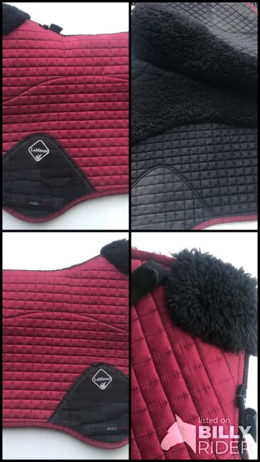 Lemieux Half Wool L CC Mulberry/Burgundy Pad, LeMieux , Sam, Andere Pads, Rochford , Abbildung 5