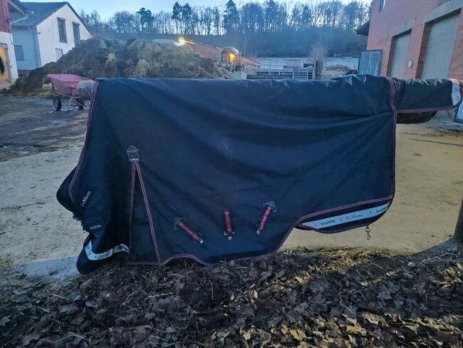 Lemieux Kudos 50 g 155 Outdoordecke Regendecke Pferdedecke, Lemieux Kudos, Carmen , Horse Blankets, Sheets & Coolers, Bad Neustadt , Image 8