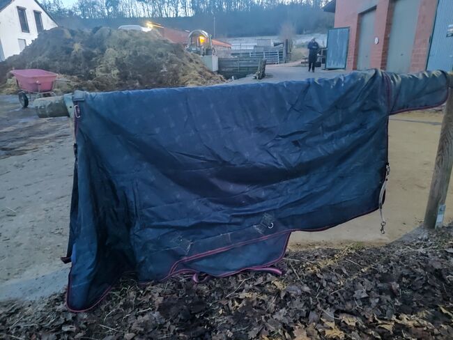 Lemieux Kudos 50 g 165 Pferdedecke Outdoordecke Regendecke, Lemieux Kudos, Carmen , Horse Blankets, Sheets & Coolers, Bad Neustadt , Image 2