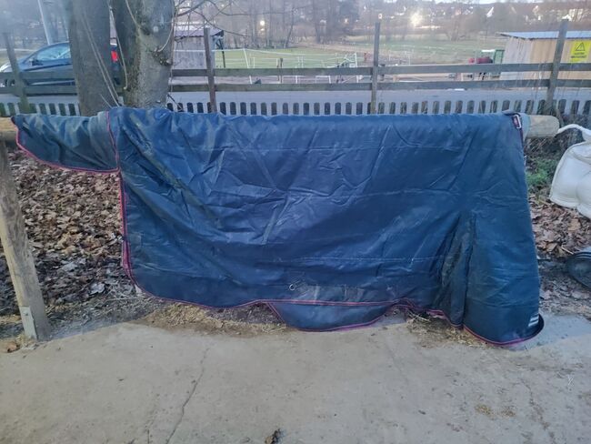 Lemieux Kudos 50 g 165 Pferdedecke Outdoordecke Regendecke, Lemieux Kudos, Carmen , Horse Blankets, Sheets & Coolers, Bad Neustadt , Image 5