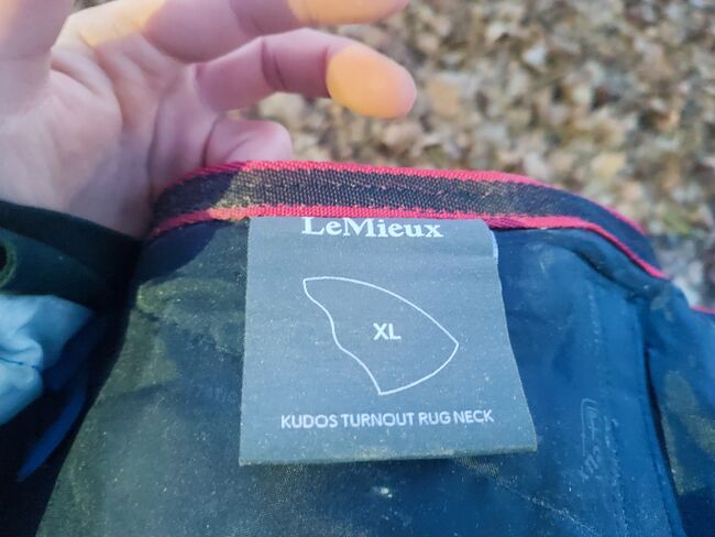 Lemieux Kudos 50 g 165 Pferdedecke Outdoordecke Regendecke, Lemieux Kudos, Carmen , Pferdedecken, Bad Neustadt , Abbildung 9