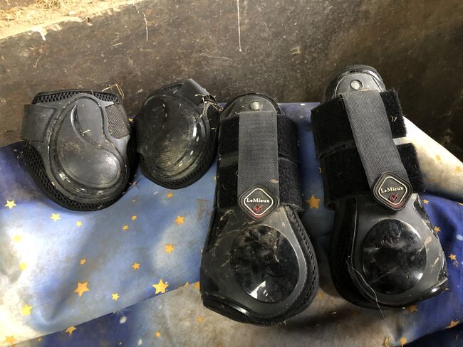 Lemieux Tendon/fetlock boots, lemieux, Emilie Barnett, Tendon Boots, Welwyn Hatfield