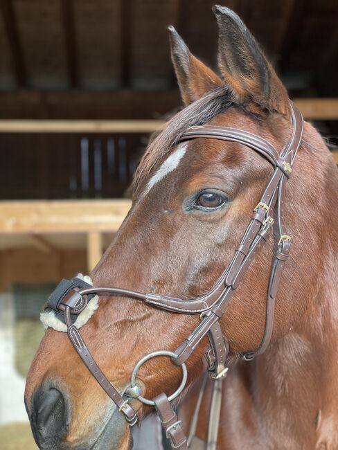 LeMieux Trense, Le Mieux, Isabella Schatzlmair, Bridles & Headstalls, Wörgl