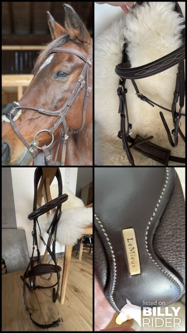 LeMieux Trense, Le Mieux, Isabella Schatzlmair, Bridles & Headstalls, Wörgl, Image 9