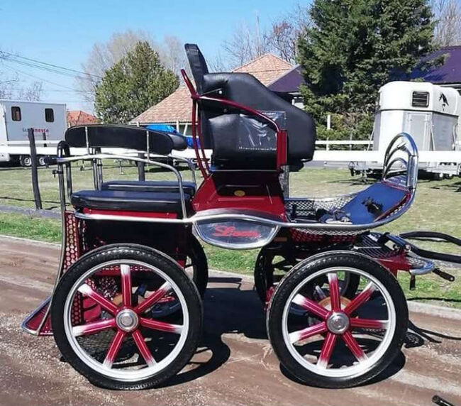 Leon von Hansmeier - Trainingswagen zu verkaufen, Leon , Manuela , Carriages, Pöttsching