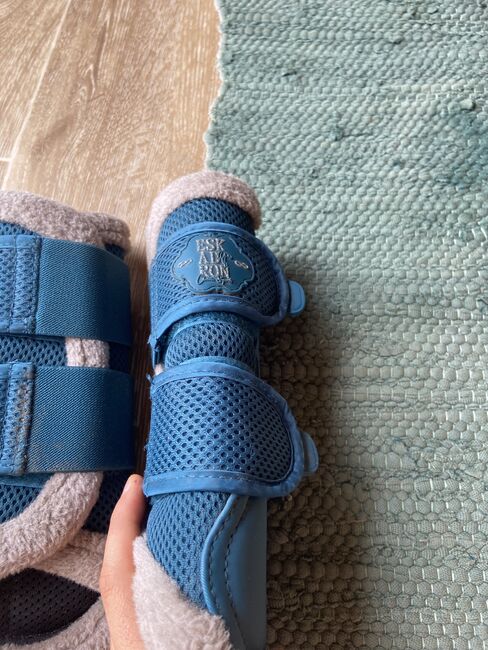 Löffelgamaschen, Eskadron  Classic Sports , Stephanie , Tendon Boots, Graz , Image 2