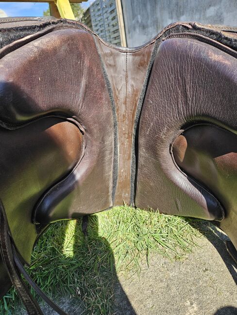 Lederbaumsattel, Hidalgo Barocksattel , Sandra, Baroque Saddle, Kirkel, Image 9