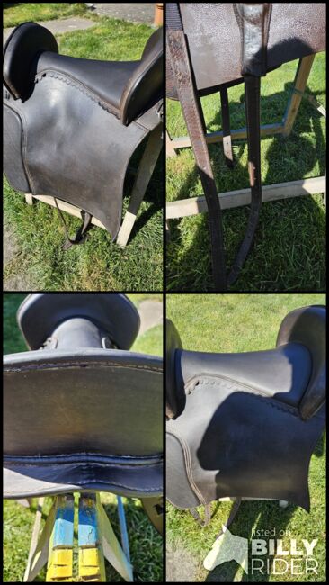 Lederbaumsattel, Hidalgo Barocksattel , Sandra, Baroque Saddle, Kirkel, Image 10