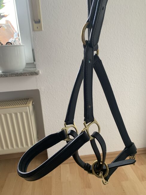 Lederhalfter Cob/Vollblut, Ann-Kathrin Hoppe, Halters, Schwalbach, Image 4