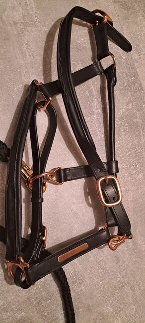 Lederhalfter Rosegold, Jenny Richter, Halters, Clausthal-Zellerfeld, Image 2