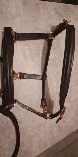 Lederhalfter Rosegold, Jenny Richter, Halters, Clausthal-Zellerfeld, Image 3