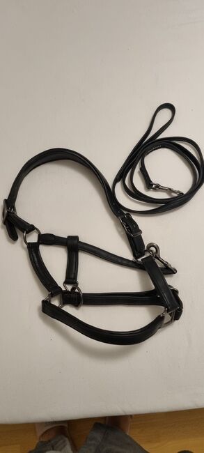 Lederhalfter von Aro Equi inkl. Lederstrick, Aro Equi, Franzy, Halters, Berlin