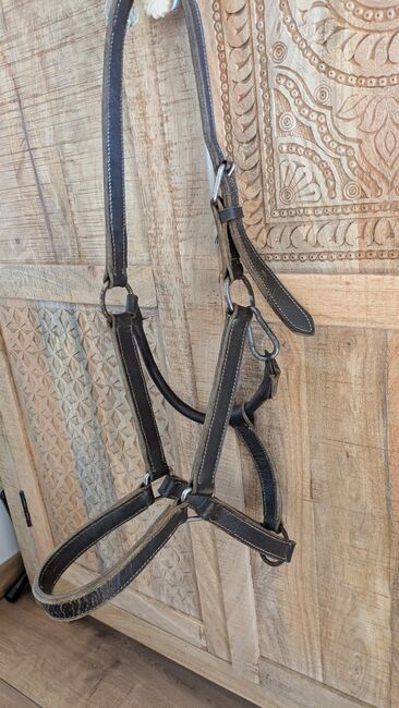 Lederhalfter Warmblut, ponymausi, Halters, Naumburg