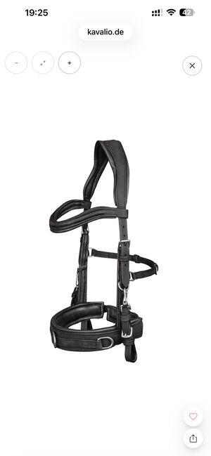 Lederkappzaum Anatomic von Waldhausen, Gr.WB, Waldhausen Kappzaum Anatomic, Aleksandra S., Lunging, Furth