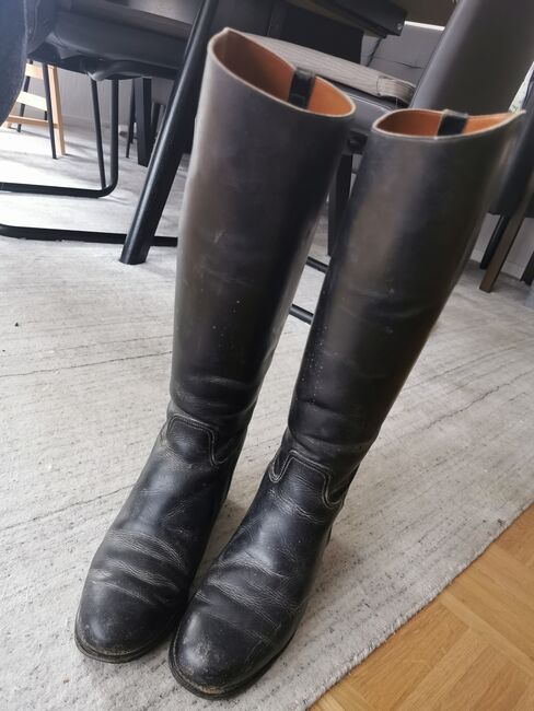 Leder Reitstiefel gr. 38, Svenja , Riding Boots, Stuttgart , Image 3