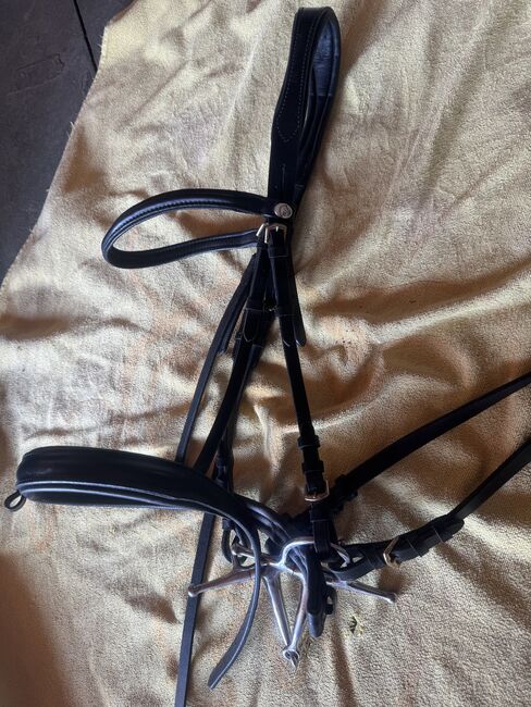 Leder Trense x Full, HM, Lisa, Bridles & Headstalls, Villingen-Schwenningen 