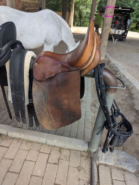 Leder Sattel, Xenia Beß , Other Saddle, Eckental 