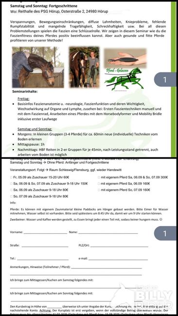 Die letzte Chance im Norden, HORSE bodyforming mit Franz Grünbeck  Seminar , Miriam , Therapie & Behandlung, Süderlügum, Abbildung 3