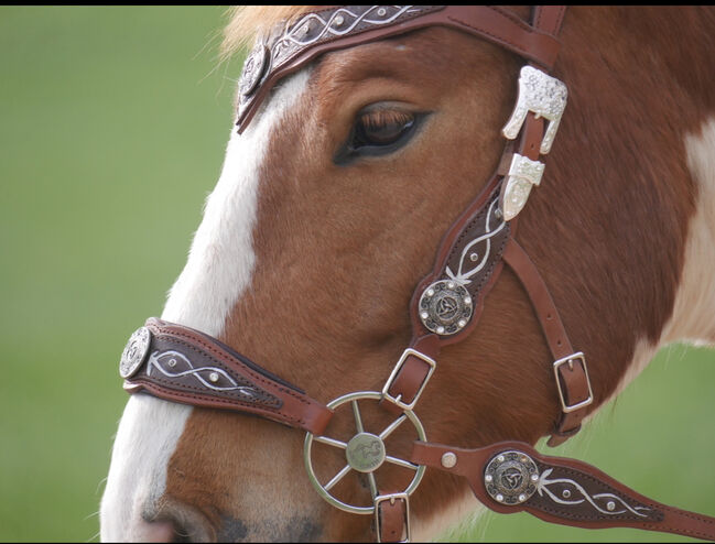 LG Zaum / Trense Unikat Cob/ Vb, Caitlin Roßner, Bridles & Headstalls, Weisendorf , Image 6