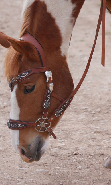 LG Zaum / Trense Unikat Cob/ Vb, Caitlin Roßner, Bridles & Headstalls, Weisendorf , Image 2