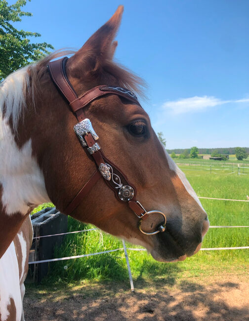 LG Zaum / Trense Unikat Cob/ Vb, Caitlin Roßner, Bridles & Headstalls, Weisendorf , Image 3