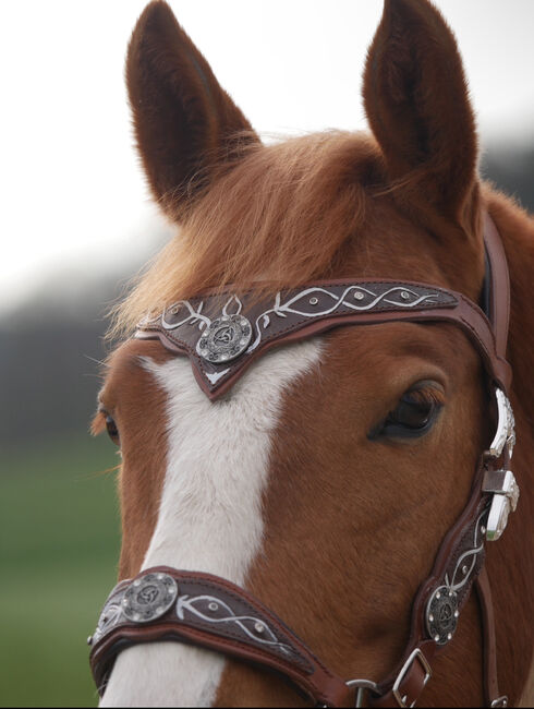 LG Zaum / Trense Unikat Cob/ Vb, Caitlin Roßner, Bridles & Headstalls, Weisendorf , Image 4