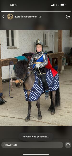 Pony Reitbeteiligung, Adriane Schmedemann Reitschule, Horse Sharing, Schonstett , Image 4