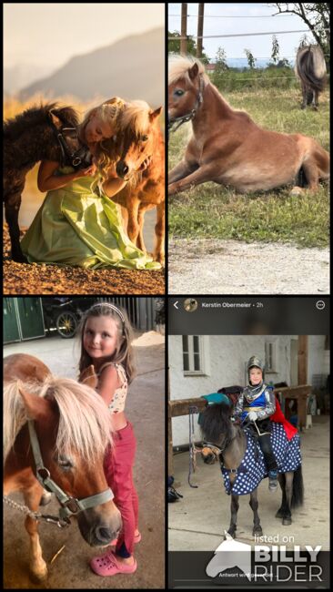 Pony Reitbeteiligung, Adriane Schmedemann Reitschule, Horse Sharing, Schonstett , Image 7