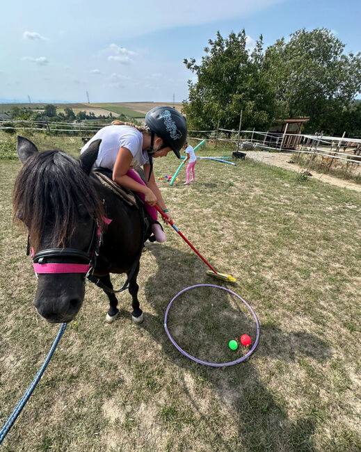 Liebe Ponystute sucht neues 5* Zuhause, Ines, Pferd kaufen, Unterzögersdorf, Abbildung 5