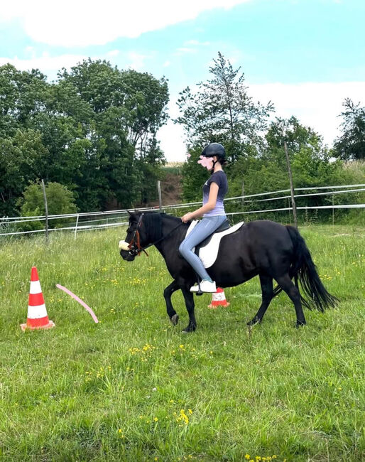 Liebe Ponystute sucht neues 5* Zuhause, Ines, Pferd kaufen, Unterzögersdorf, Abbildung 5