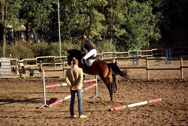Liebevolle 20 jährige Stute zu verkaufen, Mia Pfeiffer, Horses For Sale, Kleinmachnow, Image 6