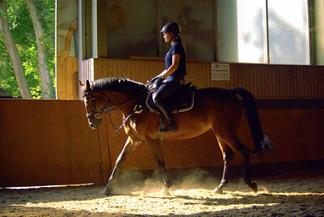Liebevolle 20 jährige Stute zu verkaufen, Mia Pfeiffer, Horses For Sale, Kleinmachnow, Image 5
